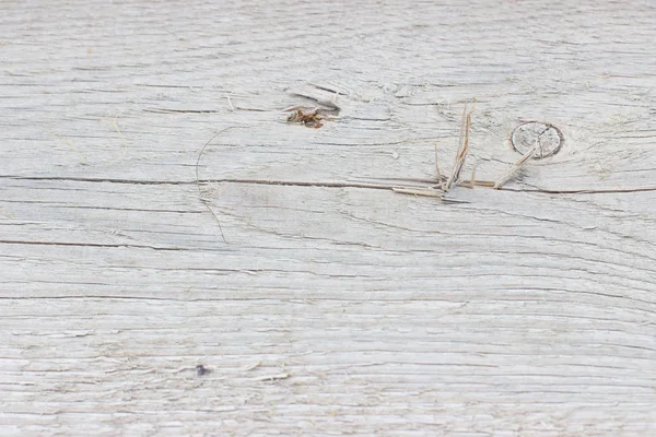 Plank Wood Texture Horizontal Image — Stock Photo, Image