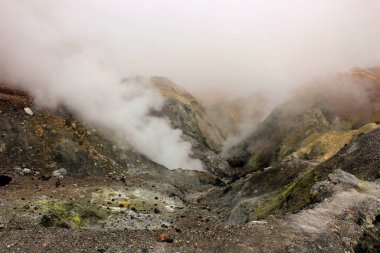 Rusya 'daki Mutnovsky volkanı Kamçatka' da. Dağ tepesi. Turistler için aktif spor ve eğlence. Kratere tırmanıyorum..