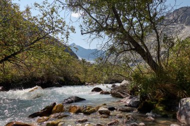 Dağ nehri manzarası. Alpler. Geniş bir köşede, güneşli bir sabahta. Nehir hızla akar. Dağcılık ve yürüyüşler. Çalı. Şelale.