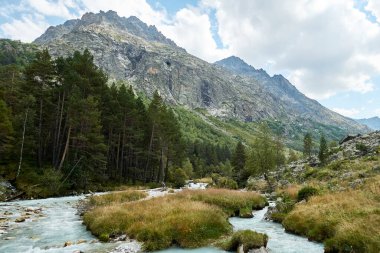 Dağ nehri su manzarası. Alpler. Açık güneşli bir günde bulutlu gökyüzü. Sıcak yaz. Yaya turizmi ve arkadaşlarla aile tatili zamanı. Mavi gökyüzü. Seyahat.