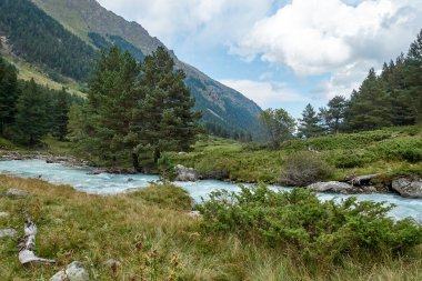 Dağ nehri su manzarası. Alpler. Açık güneşli bir günde bulutlu gökyüzü. Sıcak yaz. Yaya turizmi ve arkadaşlarla aile tatili zamanı. Uzun bir tepe. Temiz su.
