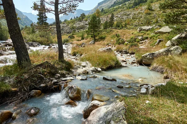 Mountain river landscape. Alps. In the morning in clear sunny day on a wide corner. The river quickly flows. Mountaineering and hikes. Flow. Wide angle.