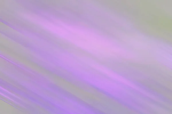 Размытый Фон Текста Пастельными Цветами Мягким Светом Серый Розовый Фиолетовый — стоковое фото