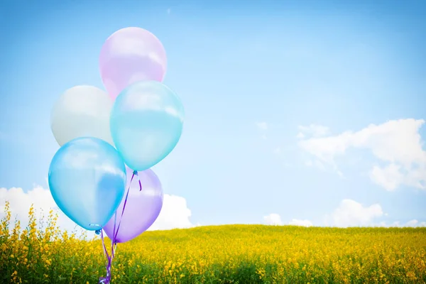 Цветной воздушный шар над желтыми цветочными полями с голубым небом backgro — стоковое фото
