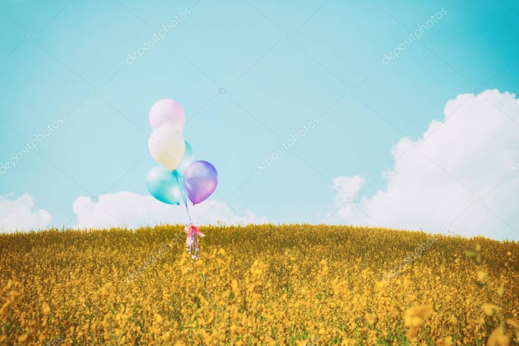 Globo de colores sobre los campos de flor amarilla con azul cielo
