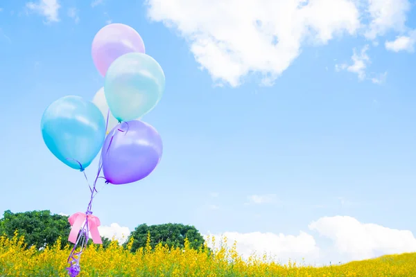 Цветной воздушный шар над желтыми цветочными полями с голубым небом backgro — стоковое фото