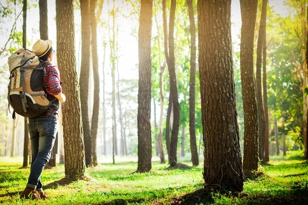 Hombre joven de pie solo en el bosque al aire libre con la naturaleza puesta del sol en — Foto de Stock