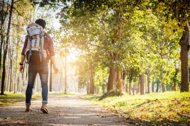 Genç adam ormanda günbatımı doğa ile açık tek başına ayakta