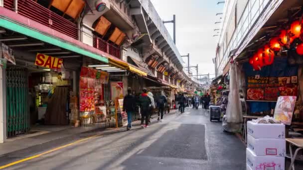 Ueno Tokyo Japan Februari 2019 Time Lapse Video Van Veel — Stockvideo