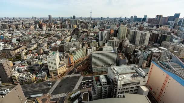 Tóquio Japão Fevereiro 2019 Time Lapse Vídeo Tokyo Skytree Cityscape — Vídeo de Stock