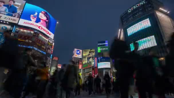 Shinjuku Tokio Japan Februari 2019 Time Lapse Video Van Drukke — Stockvideo