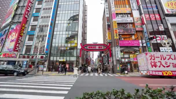 Shinjuku Tokyo Giappone Febbraio 2019 Video Time Lapse Kabukicho Street — Video Stock