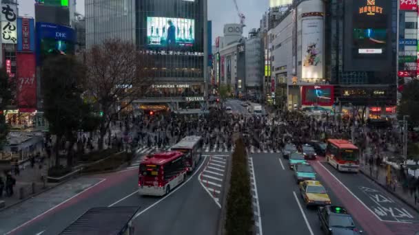 Shinjuku Tokio Japan Februari 2019 Time Lapse Video Van Drukke — Stockvideo