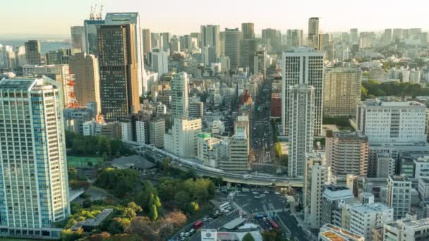 Tóquio Japão Novembro 2019 Time Lapse Vídeo Birdseye View Minato — Vídeo de Stock