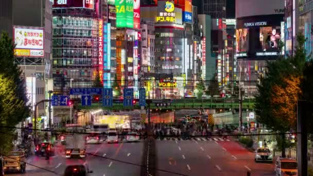 Shinjuku Tokio Japonsko Listopad 2019 Time Lapse Video Kabukicho Noční — Stock video