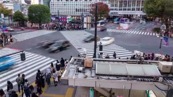 Shibuya Tokio Japan November 2019 Time Lapse Video Van Voetgangers — Stockvideo