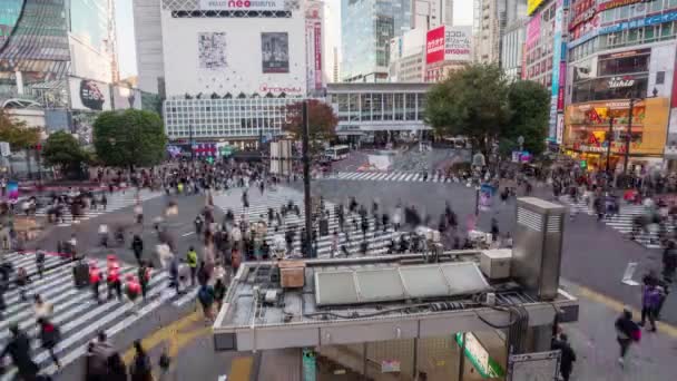 東京都渋谷区 2019年11月6日 渋谷区交差点における歩行者の4時間経過ビデオ — ストック動画