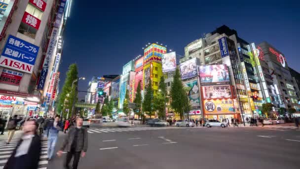 Akihabara Giappone Novembre 2019 Video Time Lapse Del Distretto Chiyoda — Video Stock