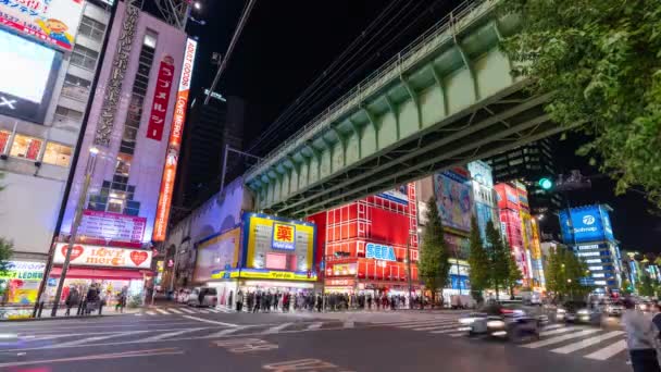 Akihabara Japan November 2019 Zeitraffer Video Des Chiyoda Distrikts Akihabara — Stockvideo