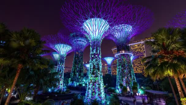 Singapur Ciudad Singapur Agosto 2019 Increíble Iluminación Espectáculo Time Lapse — Vídeos de Stock