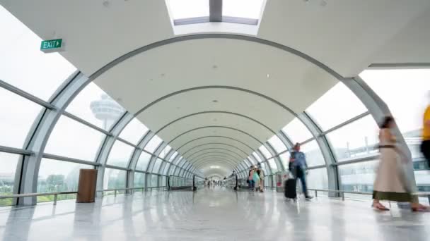 Changi Singapore August 2019 Time Lapse Video Travelators Travel Terminal — 图库视频影像