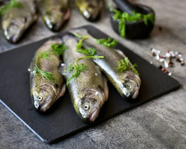 Rohe Forelle mit Kräutern auf einem Brett — Stockfoto