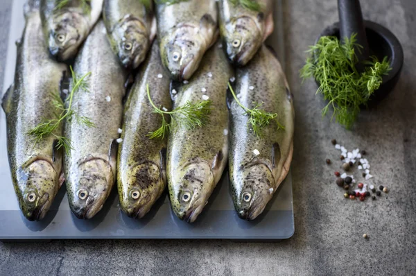 Trucha cruda con hierbas en una tabla — Foto de Stock