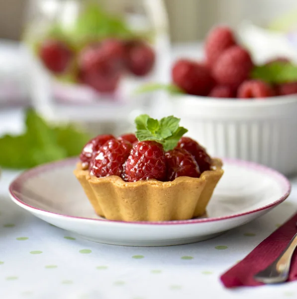 Rasberry Mini Torte — Stockfoto