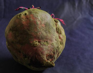 Kabuğu soyulmamış büyük bir pancar, siyah bir arkaplanda yatıyor.