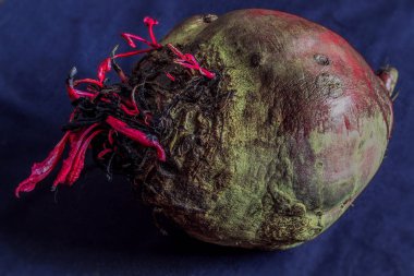 Yatay fotoğraf pancar adı verilen taze ve sağlıklı bir sebzeyi gösteriyor.