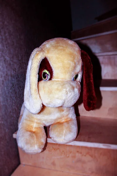 Children\'s toy dog with a brown ear on the stairs, vertical photo