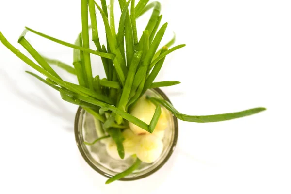 Fresh Green Onions Placed Glass White Background Horizontal Photo Stock Photo