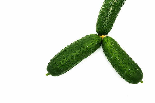 Drie Kleine Groene Komkommers Vers Liggen Het Midden Een Witte — Stockfoto