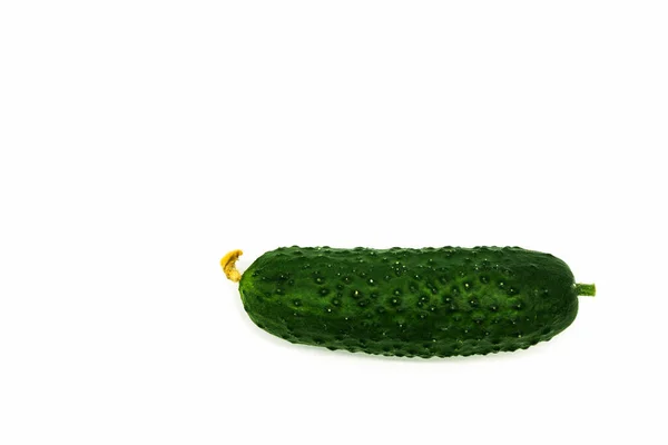 Pepino Verde Fresco Sozinho Está Fundo Branco — Fotografia de Stock