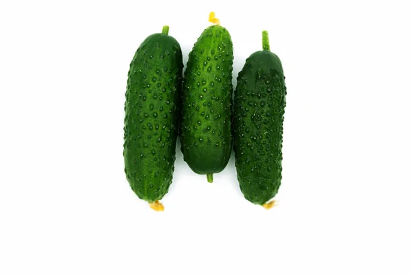 Three Small Green Cucumbers Fresh Lie Center White Background — Stock Photo, Image
