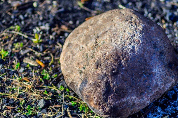 Rund Sten Liten Storlek Ligger Marken Med Gräs Solens Strålar — Stockfoto