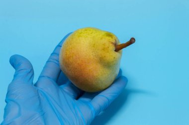 Mavi arka planda mavi eldivenli bir adam elinde taze kırmızı bir armut tutuyor.