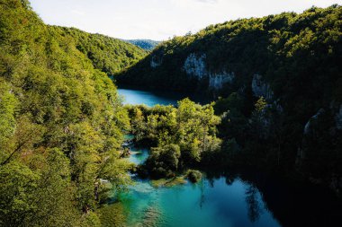 Mavi gökyüzü ve bulutlarla dolu güneşli bir yaz gününde, derin mavi göllerde temiz su ve taze ormanlarla ünlü Plitvice Gölleri Ulusal Parkı Vadisi 'nin klasik hava manzarası, Hırvatistan