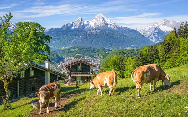 Hermosa Vista Panorámica Del Idílico Paisaje Alpino Con Chalets Montaña — Foto de Stock