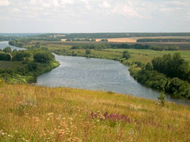 Rusya 'da birçok nehir var. Birinin adı Don..