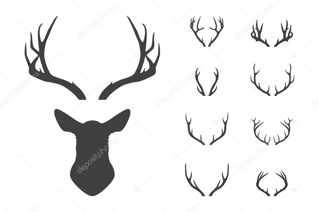 Deer s head and antlers set. Design elements of deer. Vector EPS8 illustration.
