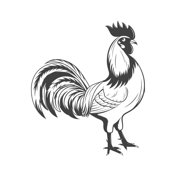 Gallo vectorial, símbolo de 2017 . — Archivo Imágenes Vectoriales