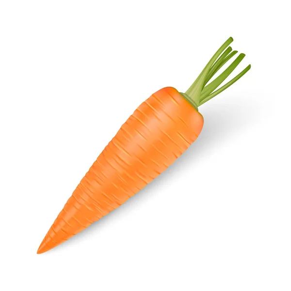 Carving Carrot: Over 148 Royalty-Free Licensable Stock Illustrations &  Drawings | Shutterstock