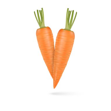 Beyaz arka plan üzerinde iki gerçekçi vektör havuç.