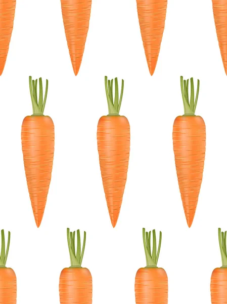 Векторный бесшовный рисунок с реалистичной морковью на белом . — стоковый вектор