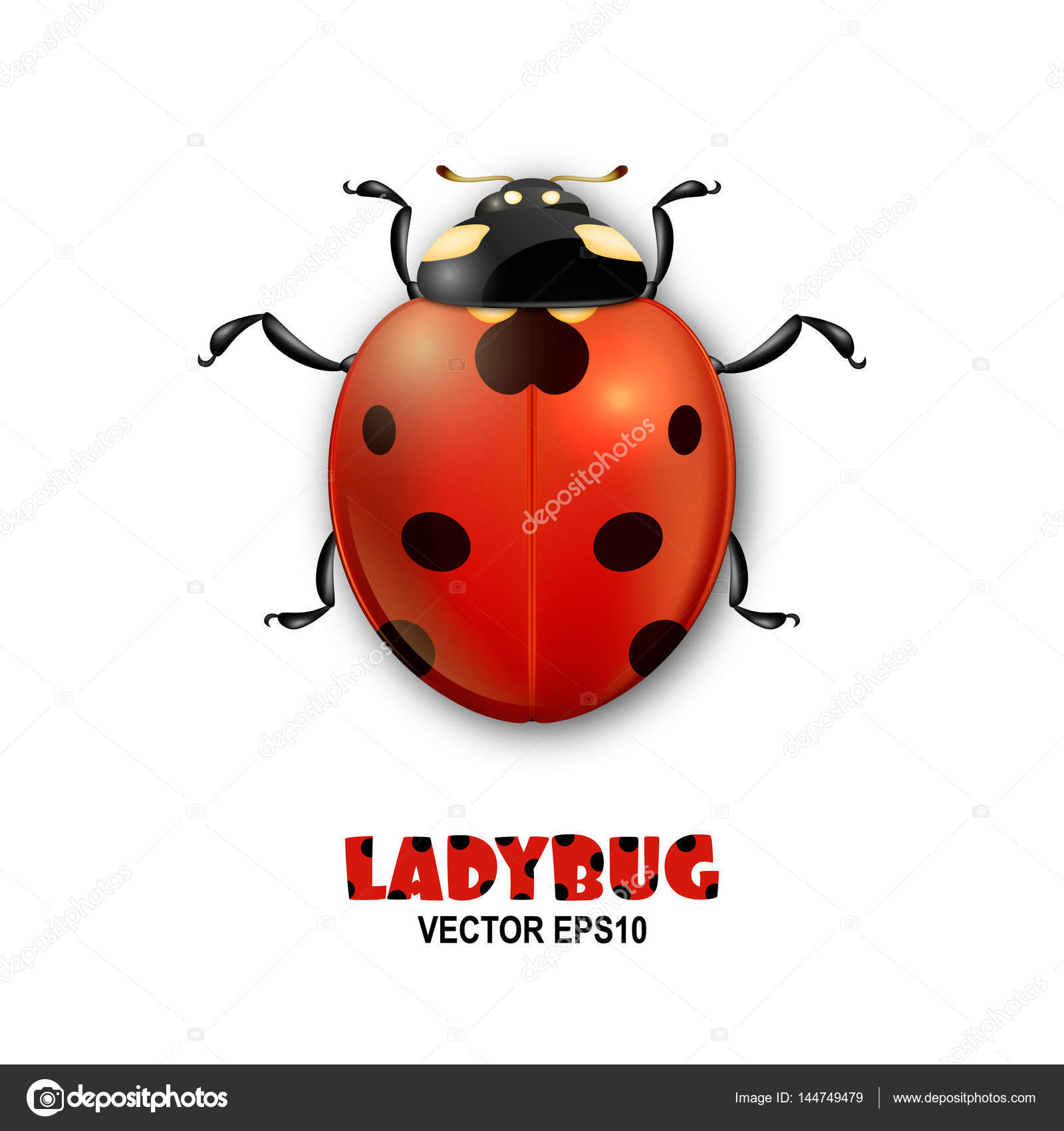 新鮮な春の 虫 イラスト 動物ゾーン 新鮮な春の 虫 イラスト 動物ゾーン
