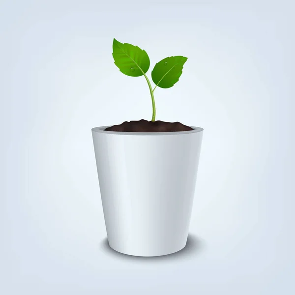 Conceito de ecologia. Fundo vetorial com broto em vaso de flores branco, isolado sobre fundo branco. EPS10 . — Vetor de Stock