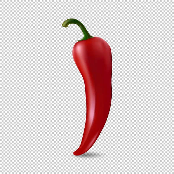 Icono realista de chile rojo aislado sobre fondo transparente. Plantilla de diseño de primer plano de alimentos en vector. — Vector de stock