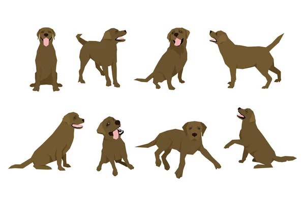 Animal perro Labrador icono de carácter conjunto en estilo plano. Plantilla diseño . — Vector de stock
