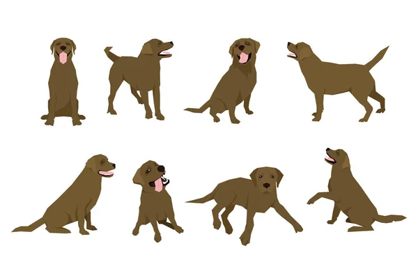 Animal dog Labrador character icon set in flat style. Design template. — Stock Vector